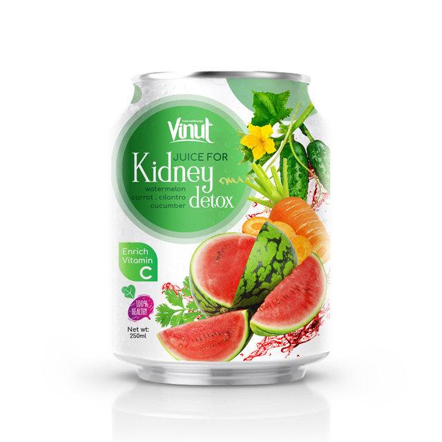 250ml Can 100 Vegetable Juice