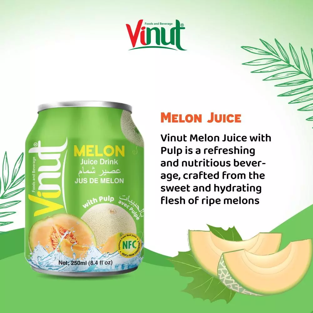 250ml Vinut Melon Juice drink with Pulp