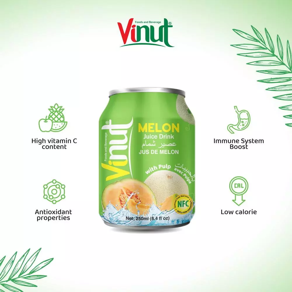 250ml Vinut Melon Juice drink with Pulp 2