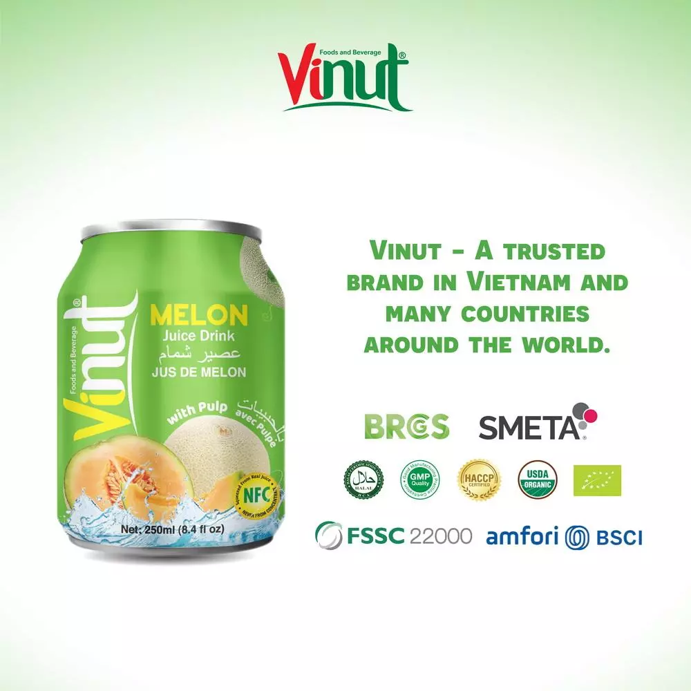 250ml Vinut Melon Juice drink with Pulp 4