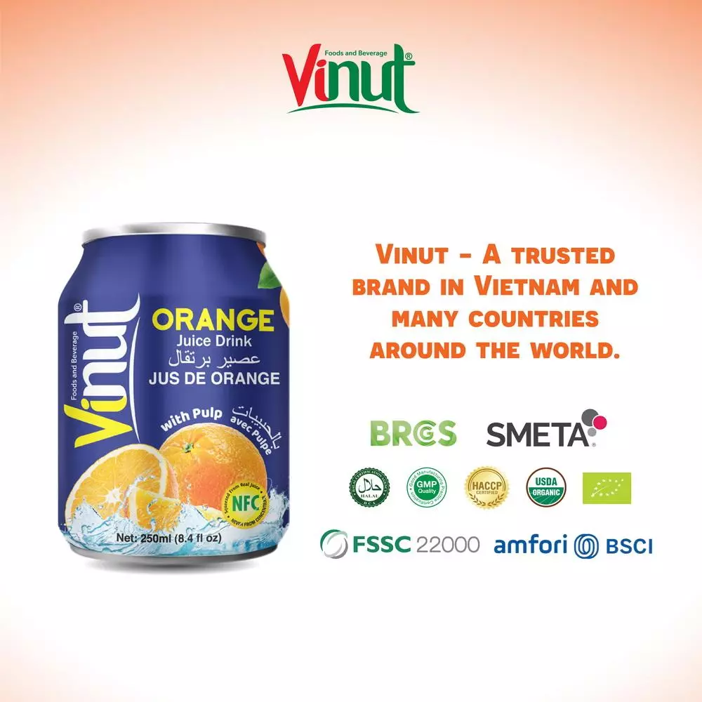 250ml Vinut Orange Juice drink with Pulp 4