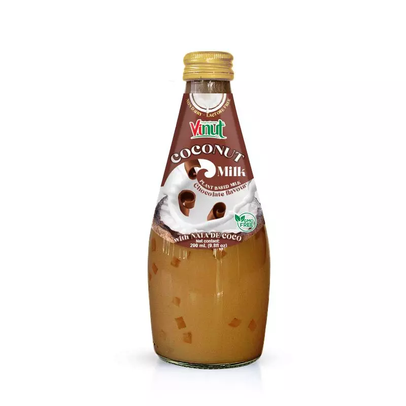 9.8 fl oz Vinut Bottle Coconut milk Chocolate with Nata de coco