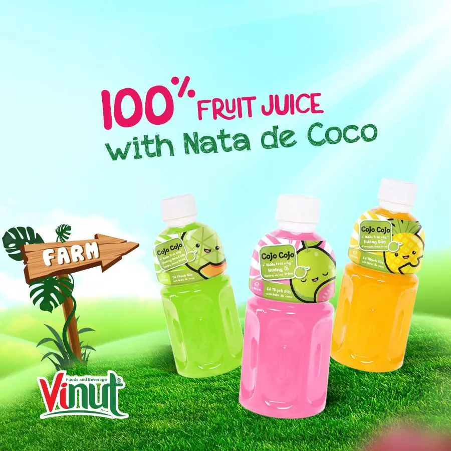 Fruit Juice with Nata de coco 1