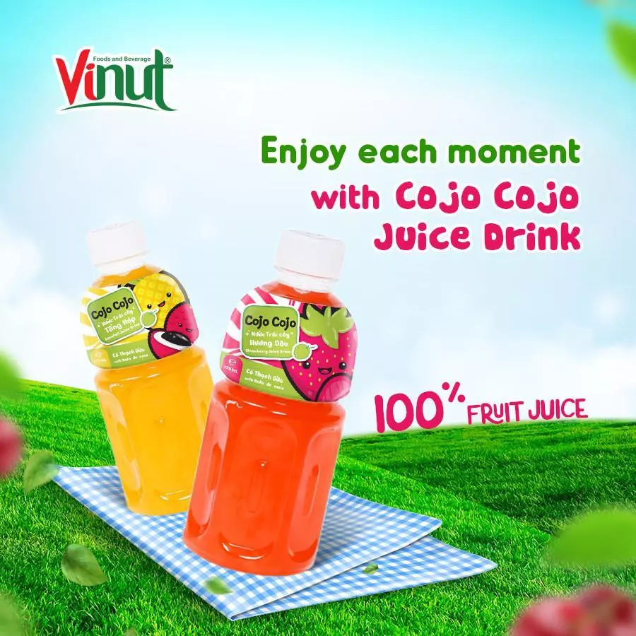 Fruit Juice with Nata de coco 3